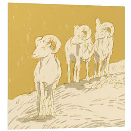 Foam board print Rams II