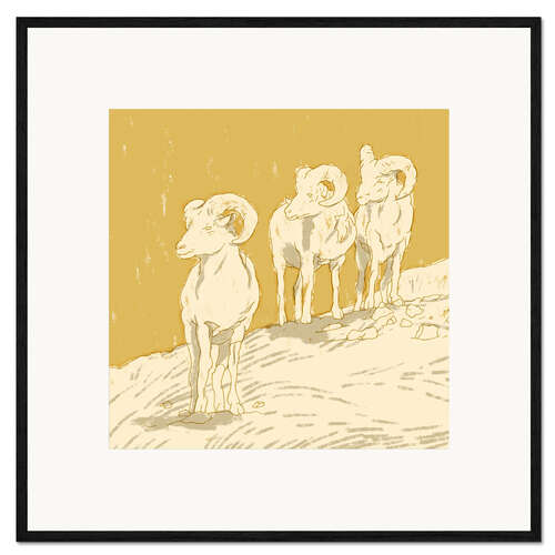 Framed art print Rams II
