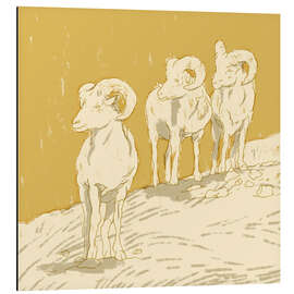 Magnettafel Widder II