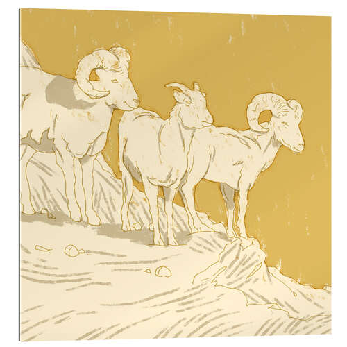 Gallery print Rams I