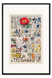 Gerahmter Kunstdruck Blumensteckbrief