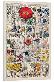 Magnettafel Blumensteckbrief