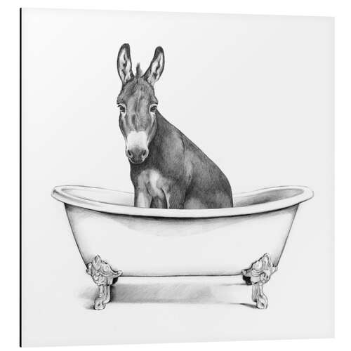 Aluminium print Donkey in the Tub