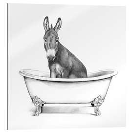 Gallery print Donkey in the Tub