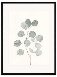 Gerahmter Kunstdruck Zarte Botanik