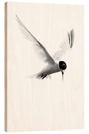 Wood print Arctic Tern