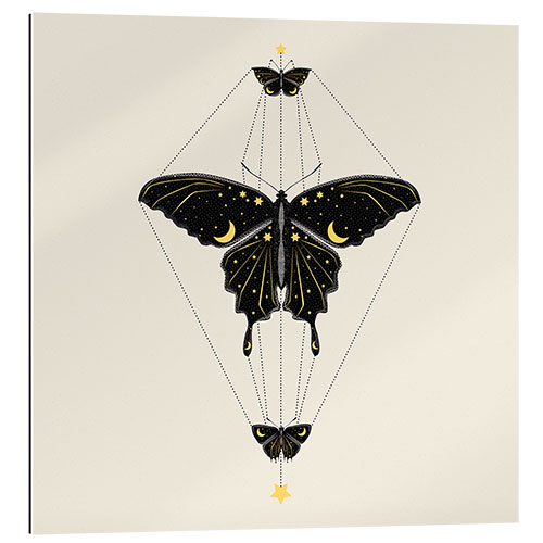 Gallery print Butterfly Universe