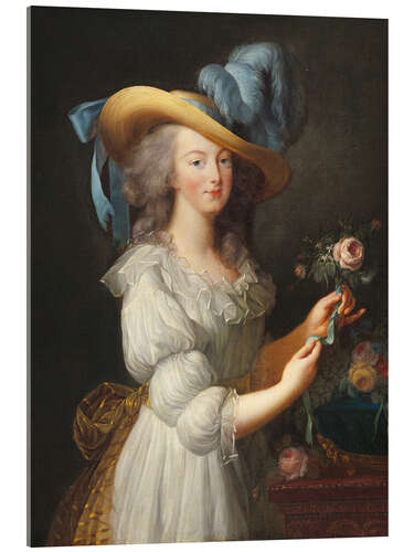 Akrylbilde Marie Antoinette in a Chemise Dress