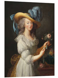 Foam board print Marie Antoinette in a Chemise Dress