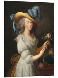 Magnettafel Marie Antoinette in einem Kleid