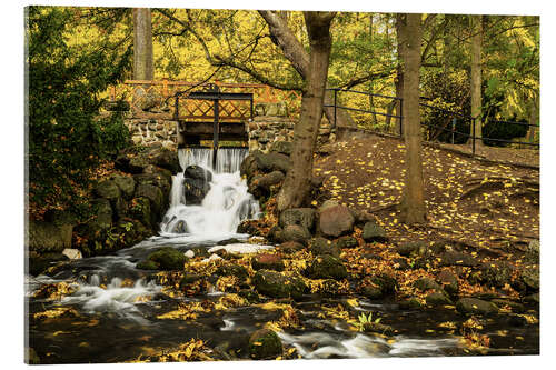 Acrylic print Adam-Mickiewicz-Park, Oliwa, Danzig