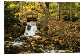 Magnettafel Adam-Mickiewicz-Park, Oliwa, Danzig