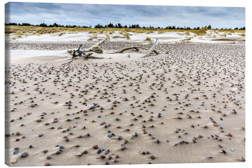 Lienzo Guijarros en la playa, mar Báltico