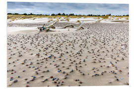 Foam board print Pebbles on the beach, Baltic Sea