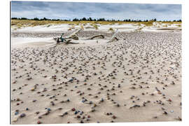 Tableau en plexi-alu Galets sur la plage, mer Baltique