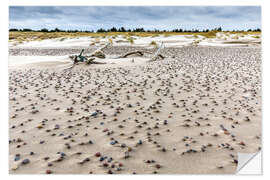 Muursticker Pebbles on the beach, Baltic Sea