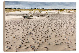 Puutaulu Pebbles on the beach, Baltic Sea