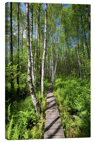 Leinwandbild Nationalpark Polesie