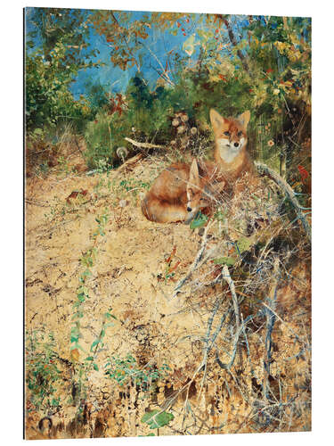 Galleriprint Fox