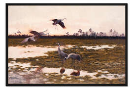 Gerahmter Kunstdruck Kraniche