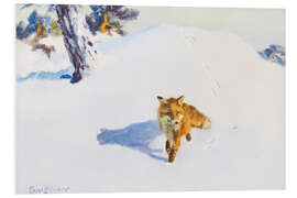 Foam board print Fox in the Winter Landscape I