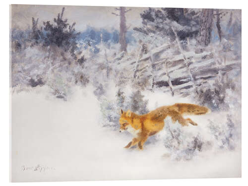 Akrylbilde Fox in the Winter Landscape III