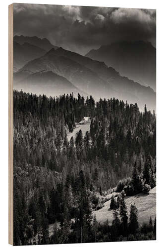 Holzbild Berghütte im Tatra-Gebirge