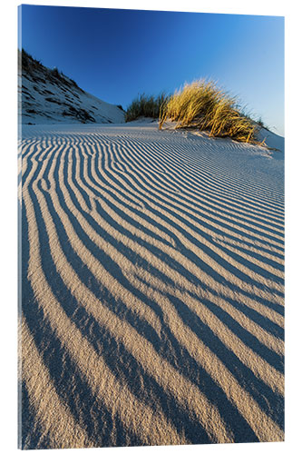 Acrylglas print Dune Pattern, Slovak National Park