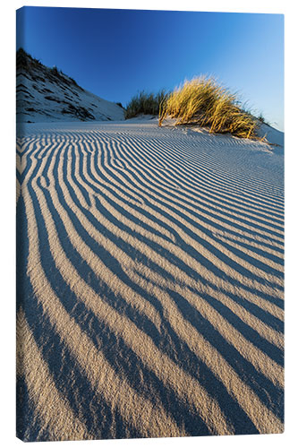 Canvas print Dune Pattern, Slovak National Park