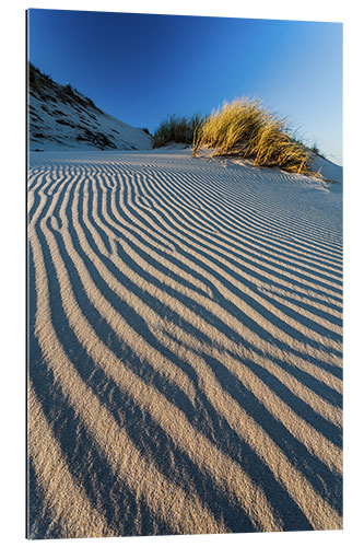 Galleritryck Dune Pattern, Slovak National Park