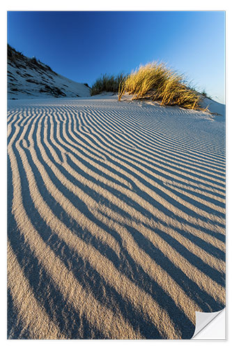 Selvklebende plakat Dune Pattern, Slovak National Park