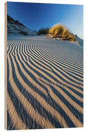 Hout print Dune Pattern, Slovak National Park