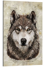 Aluminium print Wolf