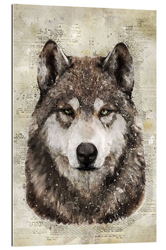 Gallery print Wolf