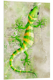 Foam board print Lizard