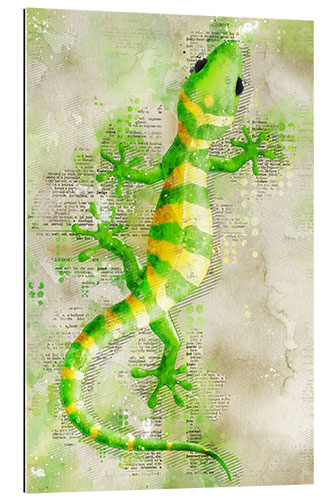 Gallery print Lizard