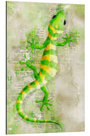 Magnettafel Eidechse