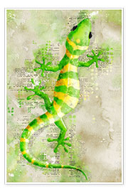 Plakat Lizard