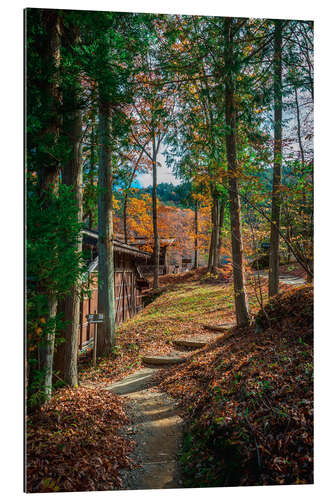 Tableau en plexi-alu L’automne au Japon