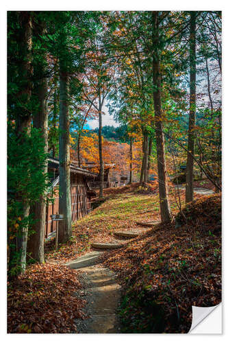 Sisustustarra Fall in Japan