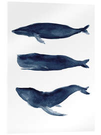 Akryylilasitaulu Whale silhouettes