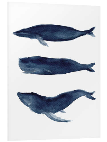 Print på skumplade Whale silhouettes