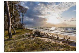 Hartschaumbild Darßer Weststrand, Ostseeküste