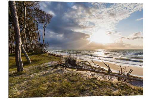 Gallery print Darßer Weststrand, Baltic Sea coast