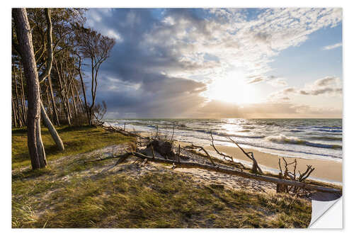 Selvklæbende plakat Darßer Weststrand, Baltic Sea coast