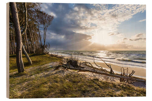 Trebilde Darßer Weststrand, Baltic Sea coast