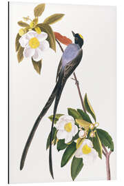 Magnettafel Gabeltyrann