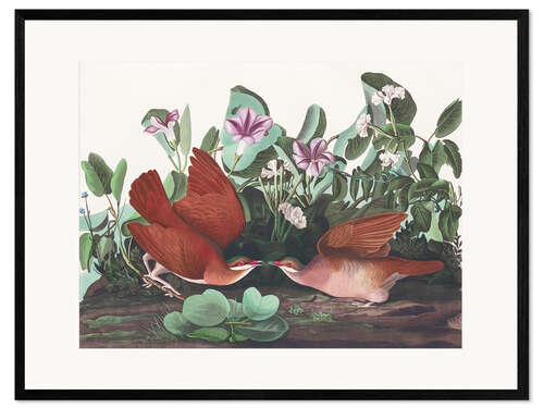 Framed art print Shiny earth dove