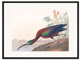 Gerahmter Kunstdruck Brauner Sichler