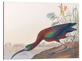 Magnettafel Brauner Sichler